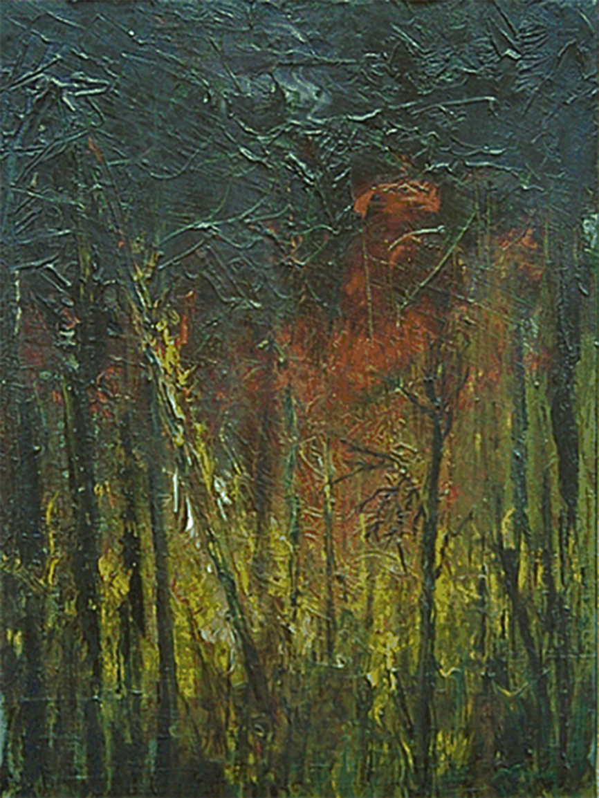 nerocenere - 1990 - oil on canvas - 30x40cm.