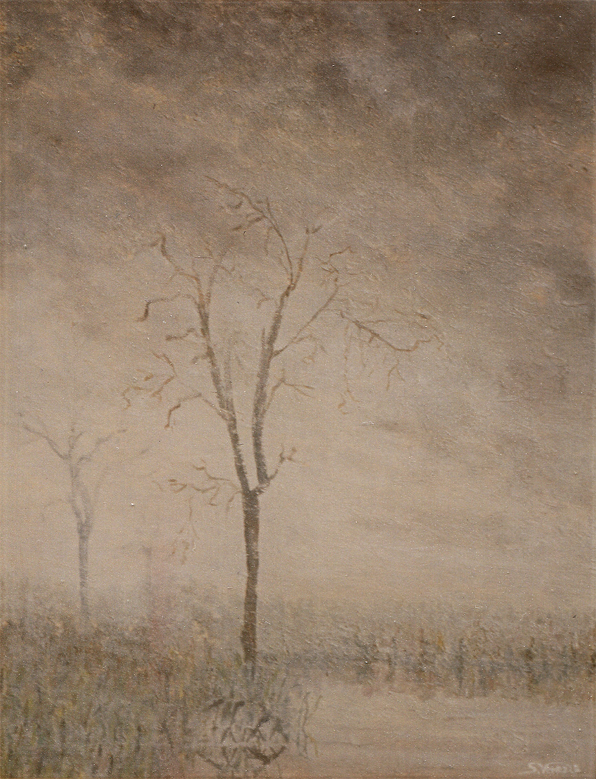 nebbia - 1990 - oil on canvas - 30x40cm.