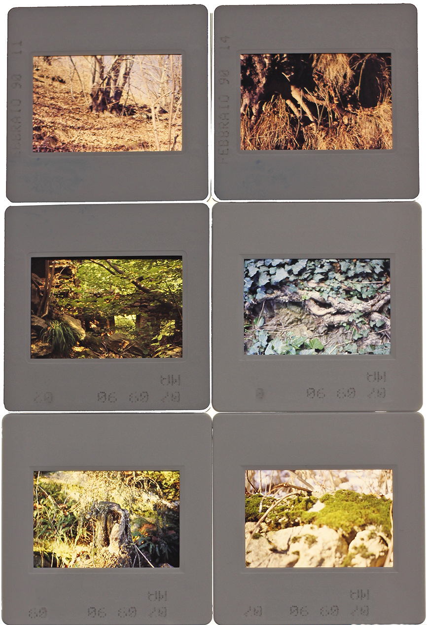 elements II - 1990 - n.6 slides - various places 