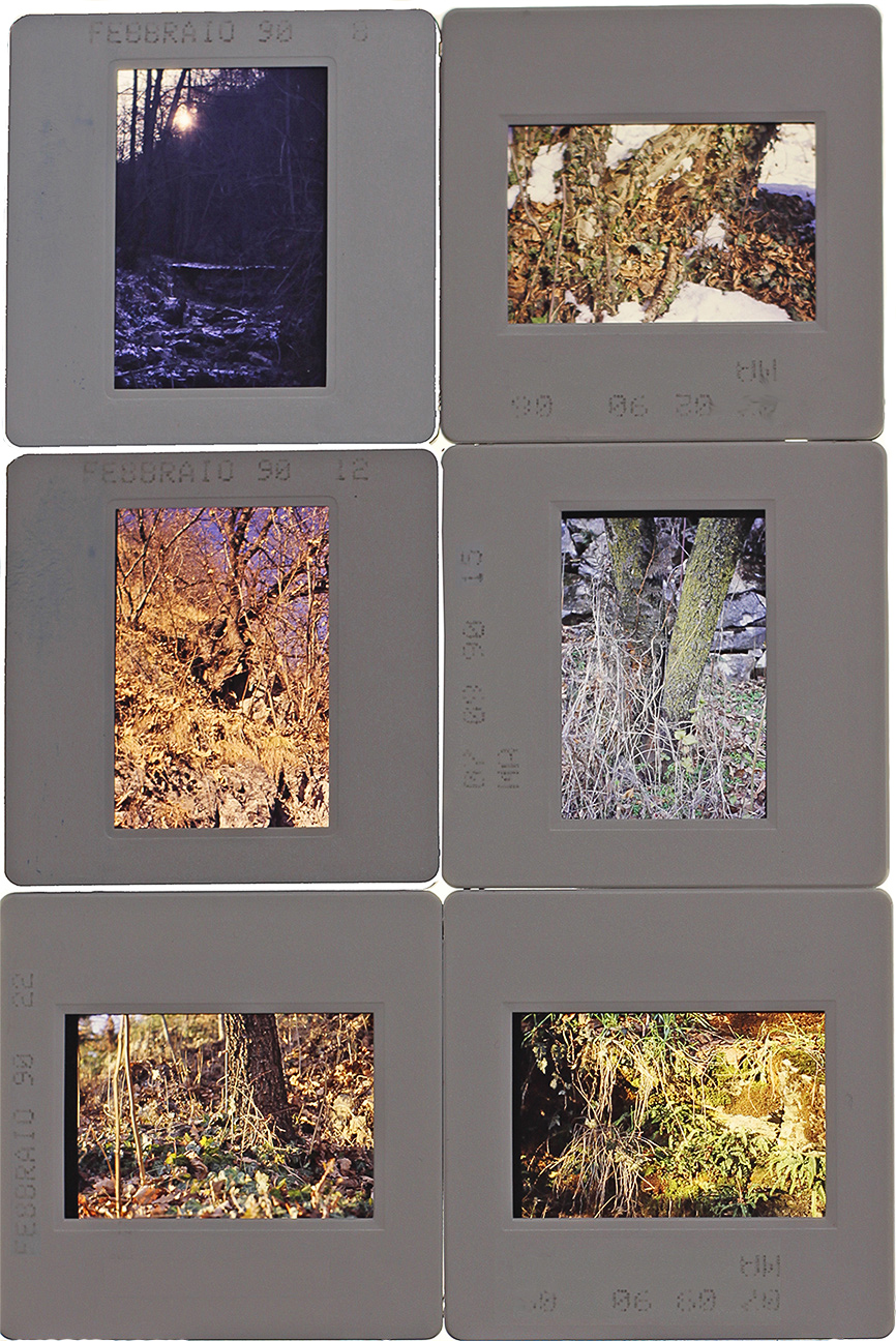 elements - 1990 - n.6 slides - various places